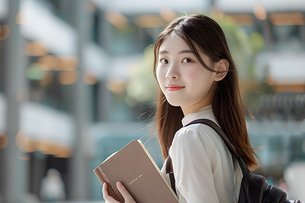 湄洲湾职业技术学院算大学吗