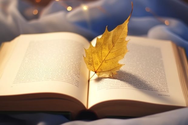 鲁东大学公费师范生的最低分数是多少?