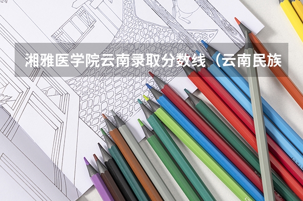 湘雅医学院云南录取分数线（云南民族大学艺术类本科专业投档分数线）