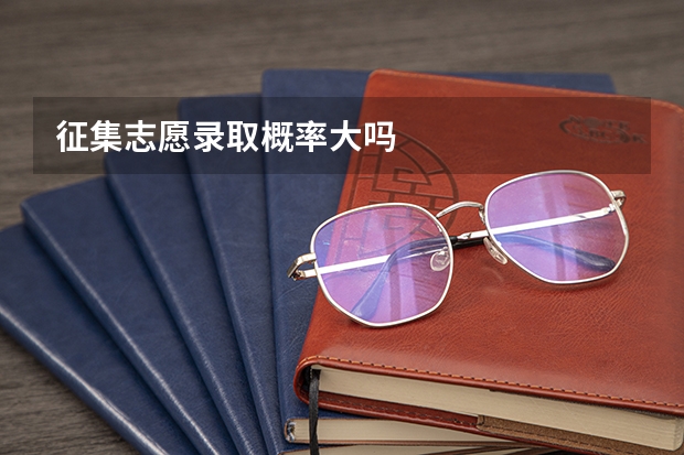 征集志愿录取概率大吗