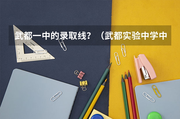 武都一中的录取线?(武都实验中学中考成绩)