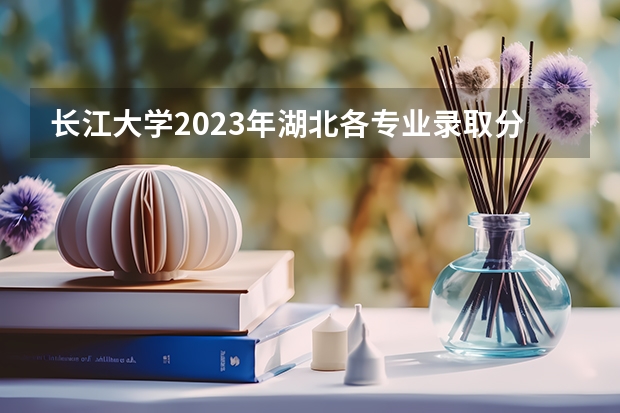 长江大学2023年湖北各专业录取分数线(湖北考生江汉大学艺术生专业文化录取分数线)
