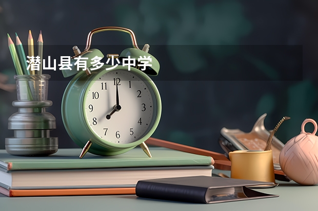 潜山县有多少中学