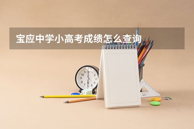 宝应中学小高考成缋怎么查询