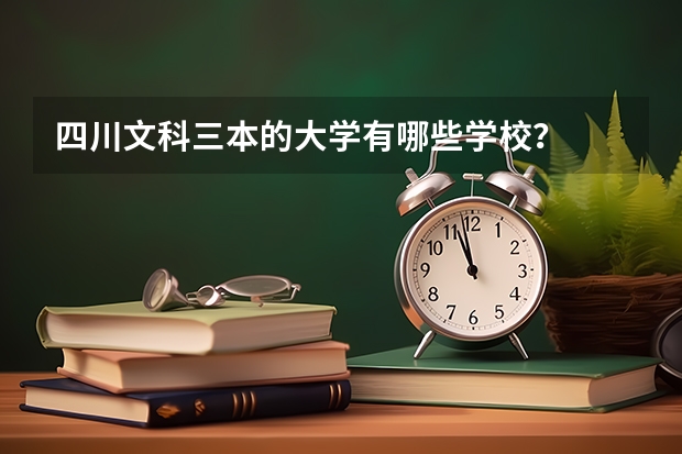 四川文科三本的大学有哪些学校？