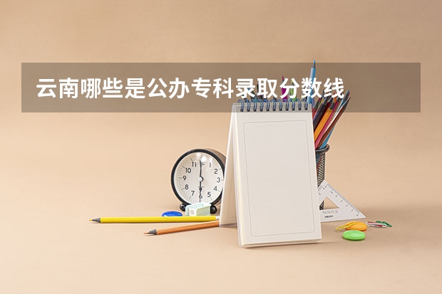 云南哪些是公办专科录取分数线
