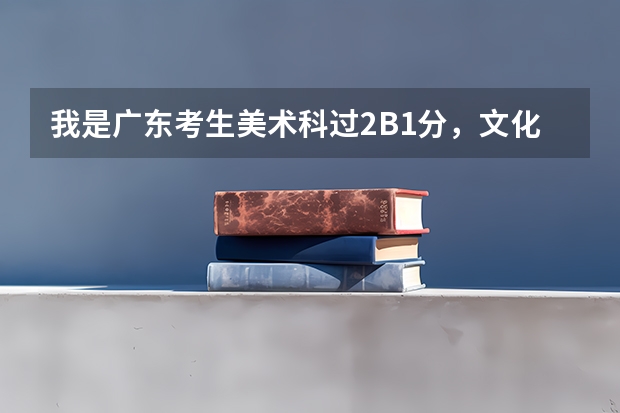 我是广东考生美术科过2B1分,文化科过一批,广轻跟番职哪个比较有希望被录取