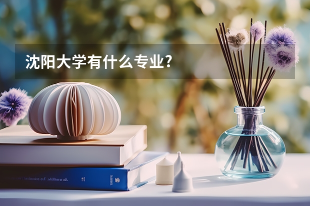 沈阳大学有什么专业?