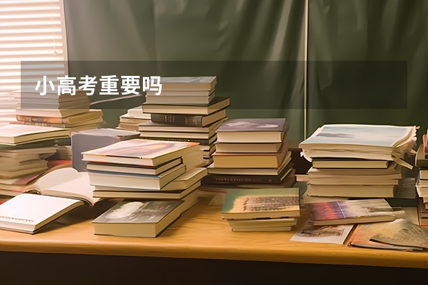 小高考重要吗
