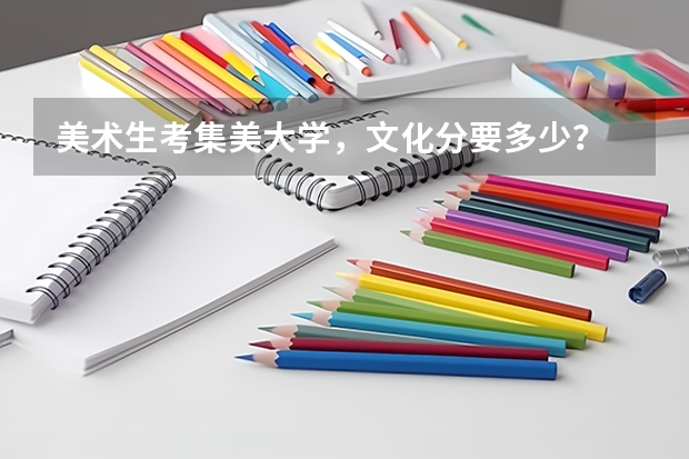 美术生考集美大学，文化分要多少？