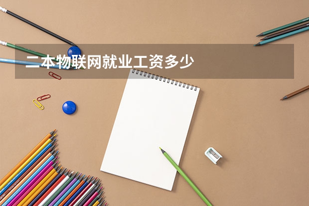 二本物联网就业工资多少