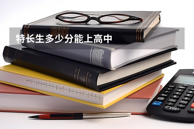 特长生多少分能上高中