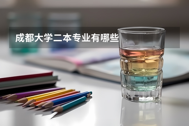 成都大学二本专业有哪些