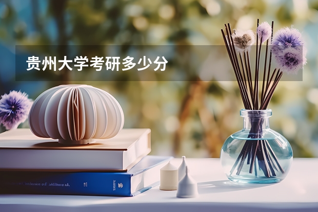 贵州大学考研多少分