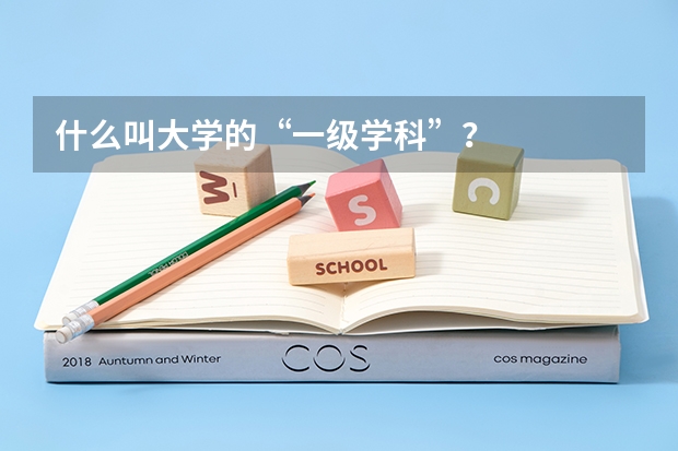 什么叫大学的“一级学科”？