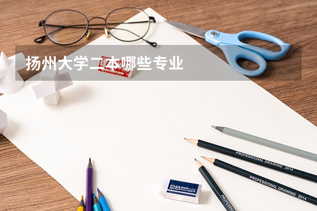 扬州大学二本哪些专业