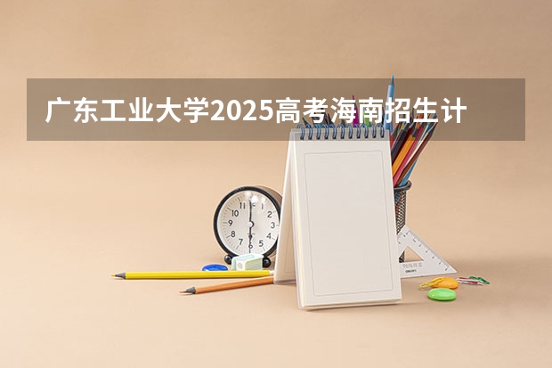 广东工业大学2025高考海南招生计划
