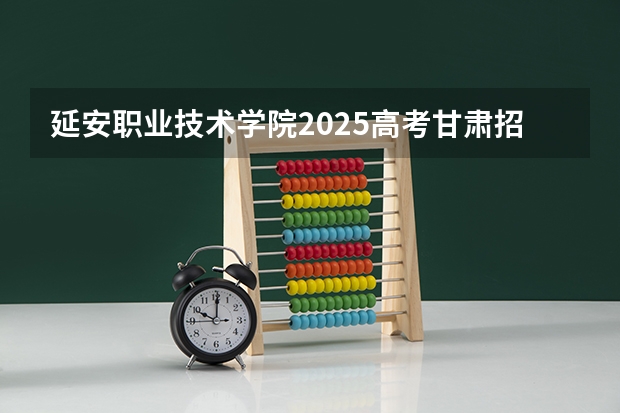 延安职业技术学院2025高考甘肃招生计划