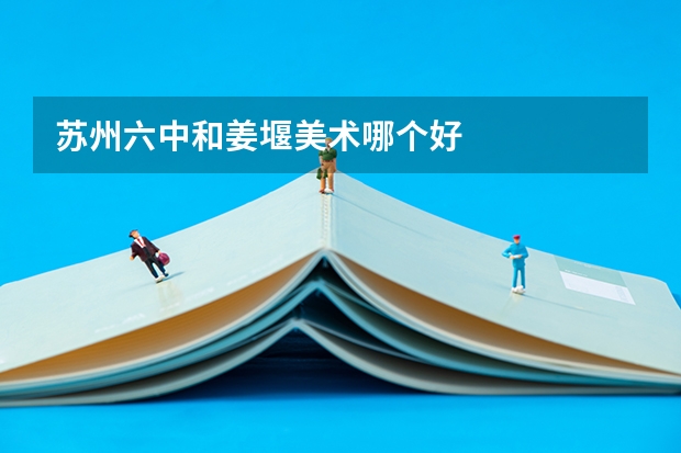 苏州六中和姜堰美术哪个好