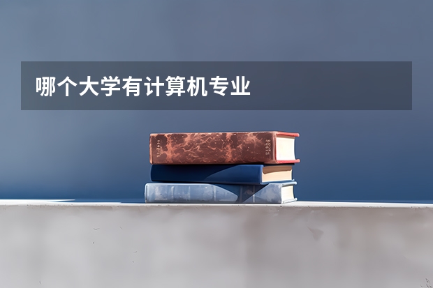哪个大学有计算机专业