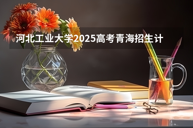 河北工业大学2025高考青海招生计划