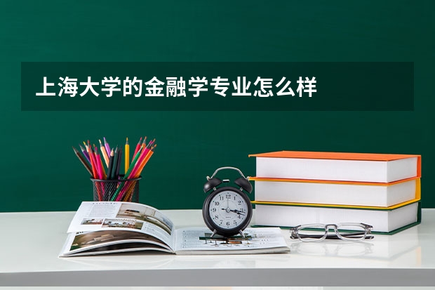 上海大学的金融学专业怎么样