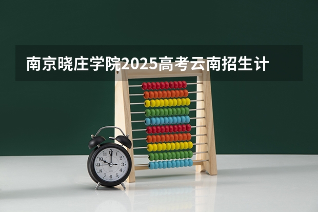 南京晓庄学院2025高考云南招生计划