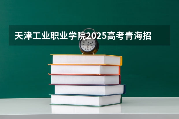 天津工业职业学院2025高考青海招生计划