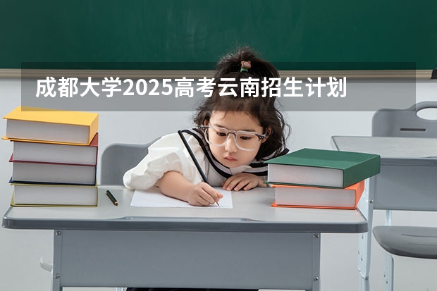 成都大学2025高考云南招生计划