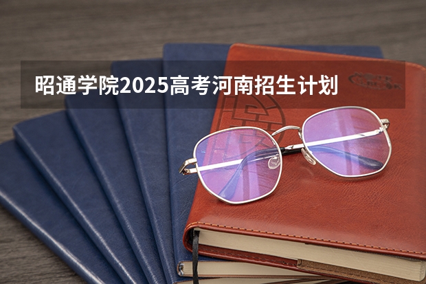 昭通学院2025高考河南招生计划