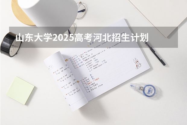 山东大学2025高考河北招生计划