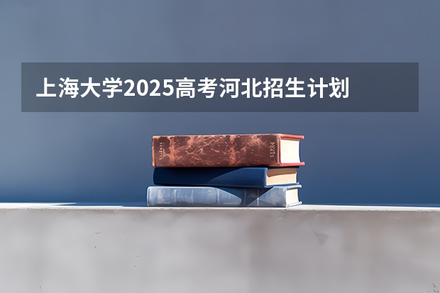 上海大学2025高考河北招生计划