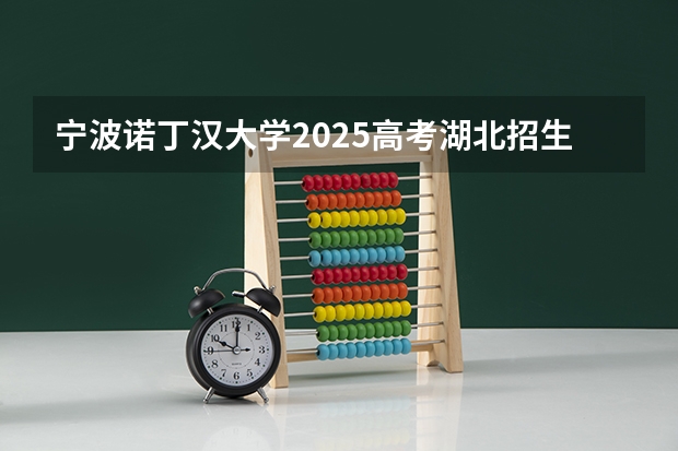 宁波诺丁汉大学2025高考湖北招生计划