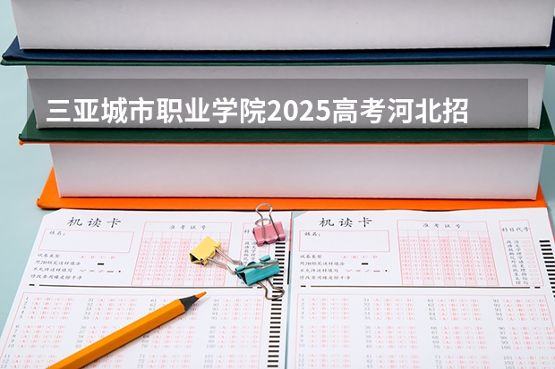 三亚城市职业学院2025高考河北招生计划