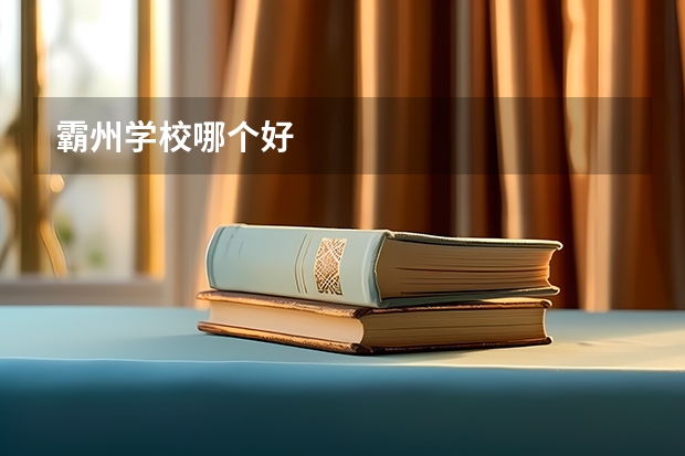 霸州学校哪个好