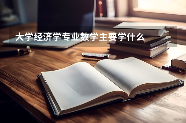 大学经济学专业数学主要学什么