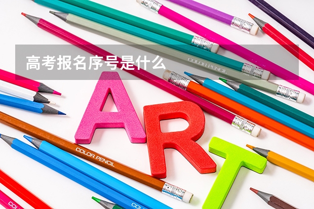 高考报名序号是什么