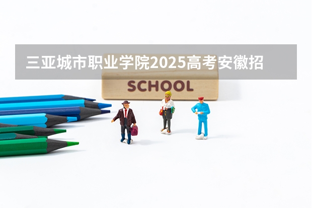 三亚城市职业学院2025高考安徽招生计划