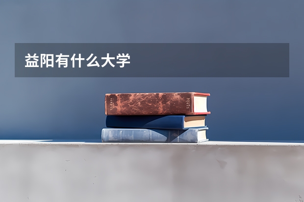 益阳有什么大学