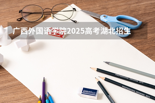 广西外国语学院2025高考湖北招生计划