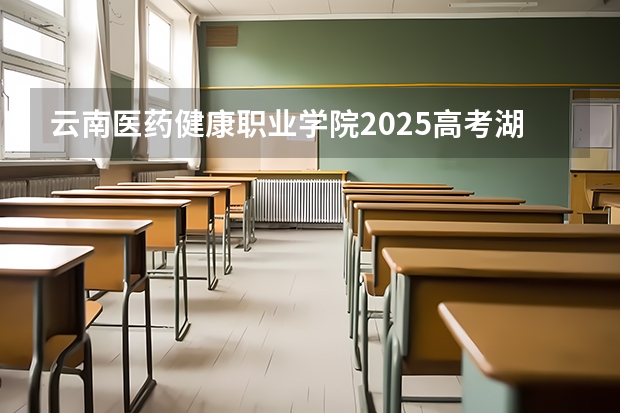 云南医药健康职业学院2025高考湖北招生计划