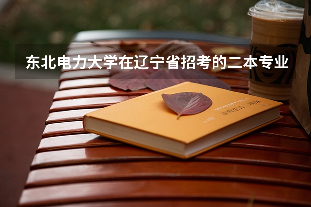 东北电力大学在辽宁省招考的二本专业有哪些
