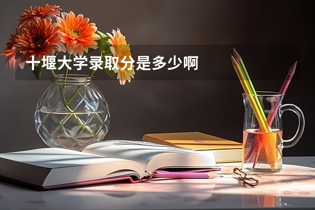 十堰大学录取分是多少啊