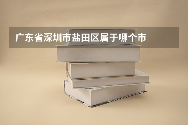 广东省深圳市盐田区属于哪个市