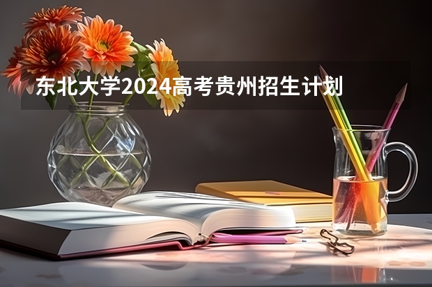 东北大学2024高考贵州招生计划
