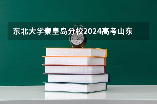 东北大学秦皇岛分校2024高考山东招生计划