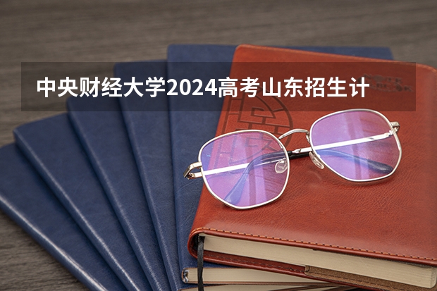 中央财经大学2024高考山东招生计划