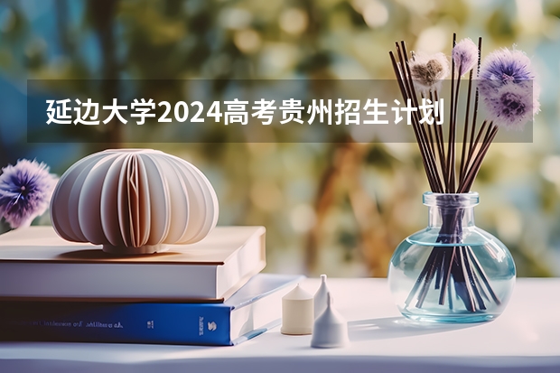 延边大学2024高考贵州招生计划