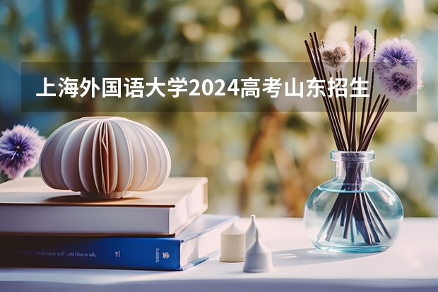 上海外国语大学2024高考山东招生计划