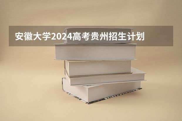 安徽大学2024高考贵州招生计划